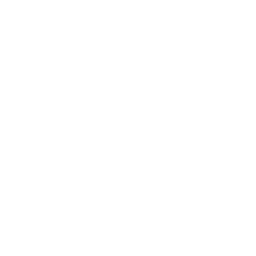 Nicolò Morelli consulente seo sem rimini digital marketing